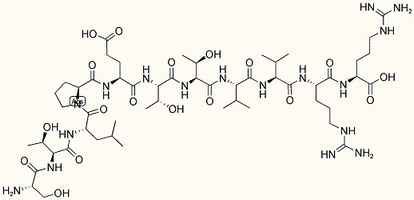 HBV core14