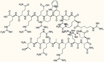 HIV-1 rev Protein (34-50)