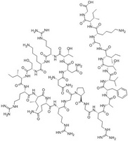 HIV-gp120-Fragment (308-331)