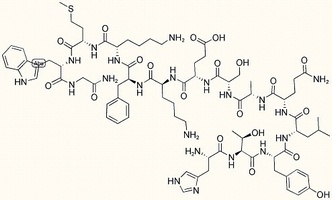 HSV-1-amide UL 26 Open Reading Frame (242-255)