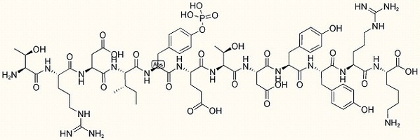 Insulin Receptor (1142-1153), (phospho-Tyr1146)