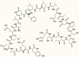 KGF Receptor Peptide