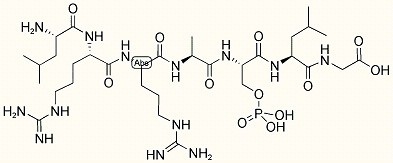 Kinase Domain of Pyruvate Kinase