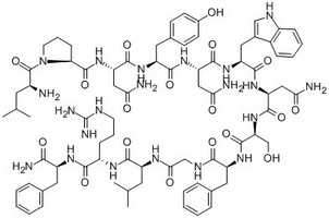 Kisspeptin-13