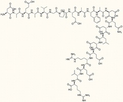 Magainin Spacer Peptide