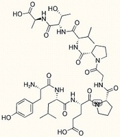 Melanocyte Protein PMEL 17 (256-264)