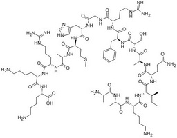 Neurogranin (28-43)