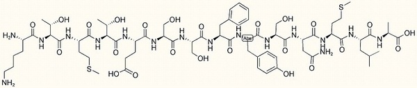 Neurokinin Receptor (393-407)