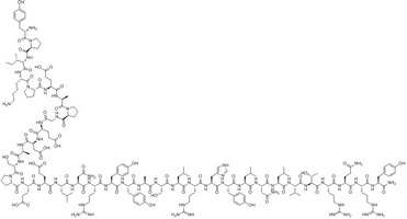 Peptide YY