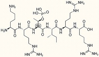 Phosphorylated Protein Kinase C Substrate 2