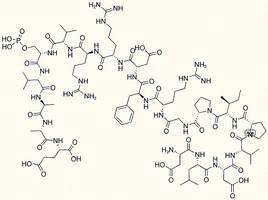PKA Regulatory Subunit II Substrate