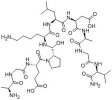 Pneumadin