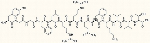 Prodynorphin (226-238)