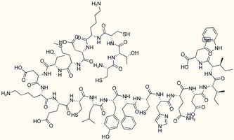 Sarafotoxin S6d