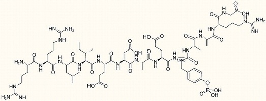 SRC Kinase Substrate