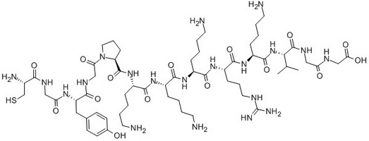 SV40 Nuclear Transport Signal Peptide Analog