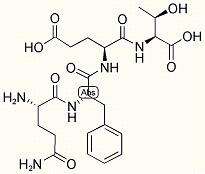 Synaptobrevin-2 (75-78)