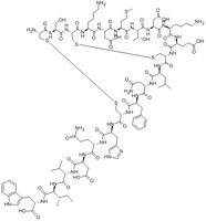 Sarafotoxin S6a