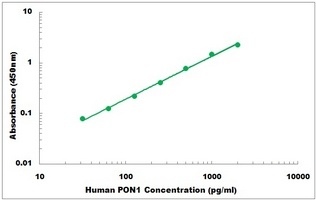Human PON1 ELISA Kit