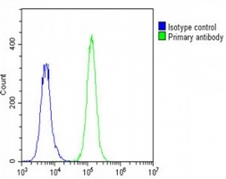 Anti-STRAD alpha Antibody