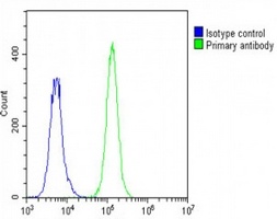 STRADA antibody