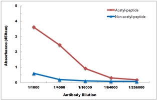 Histone H2A (AcK95) antibody