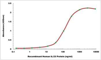 Human IL23R protein