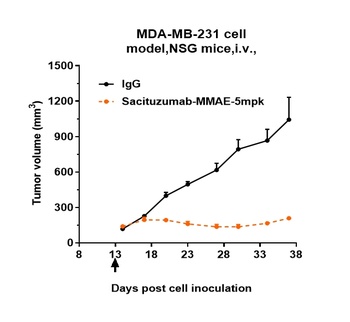 Anti-TROP2 Reference Antibody