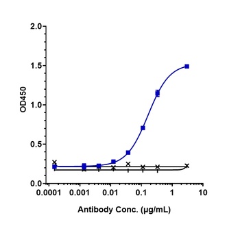 Anti-IL-3R Reference Antibody