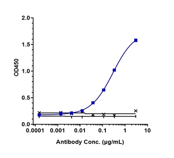 Anti-Endoglin / CD105 Reference Antibody