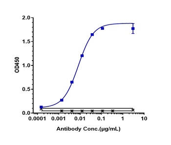 Anti-ERBB2 / HER2 / CD340 Reference Antibody (trastuzumab-MMAE)