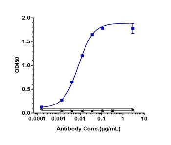 Anti-ERBB2 / HER2 / CD340 Reference Antibody