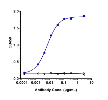 Anti-CEACAM5 / CEA / CD66e Reference Antibody