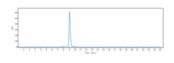 Anti-ROR1 Reference Antibody