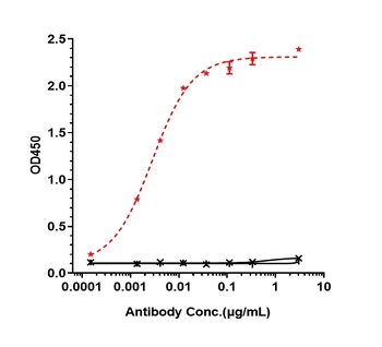 Anti-ROR1 Reference Antibody