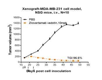 Anti-ROR1 Reference Antibody