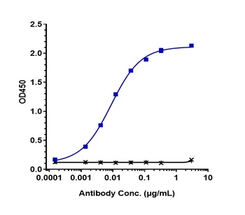 Anti-Siglec-2 / CD22 Reference Antibody