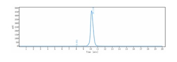 Anti-GPNMB Reference Antibody (glembatumumab vedotin)
