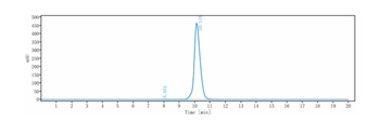 Anti-GPNMB Reference Antibody