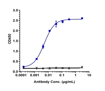 Anti-CD79b Reference Antibody