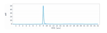 Anti-LIV-1 / SLC39A6 Reference Antibody