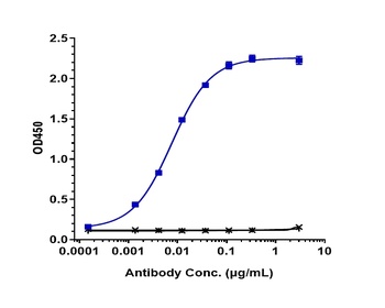 Anti-LIV-1 / SLC39A6 Reference Antibody