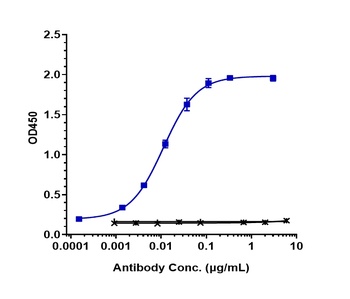 Anti-ERBB2 / HER2 / CD340 Reference Antibody (trastuzumab deruxtecan)