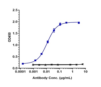 Anti-ERBB2 / HER2 / CD340 Reference Antibody