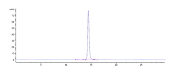 CLDN6/CLD6 Antibody