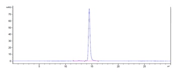 CLDN6/CLD6 Antibody