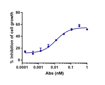 Anti-CLDN6 Reference Antibody (DS-9606a)