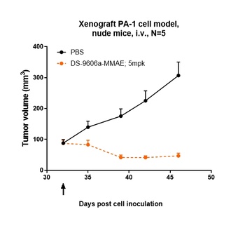 Anti-CLDN6 Reference Antibody (DS-9606a)