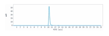 Anti-CDH17 / Cadherin-17 Reference Antibody