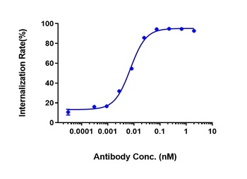 Anti-CDH17 / Cadherin-17 Reference Antibody (10C12)